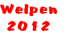 Welpen
2012