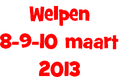 Welpen
8-9-10 maart
2013